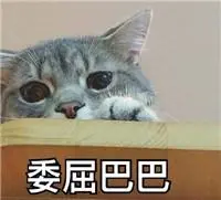 situs slot joker Xiaobai memiliki ekspresi ketakutan di wajahnya